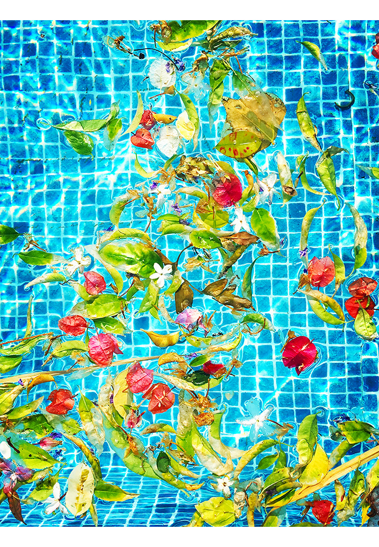 Summer Breeze
