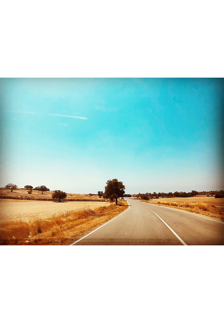 New Beginnings