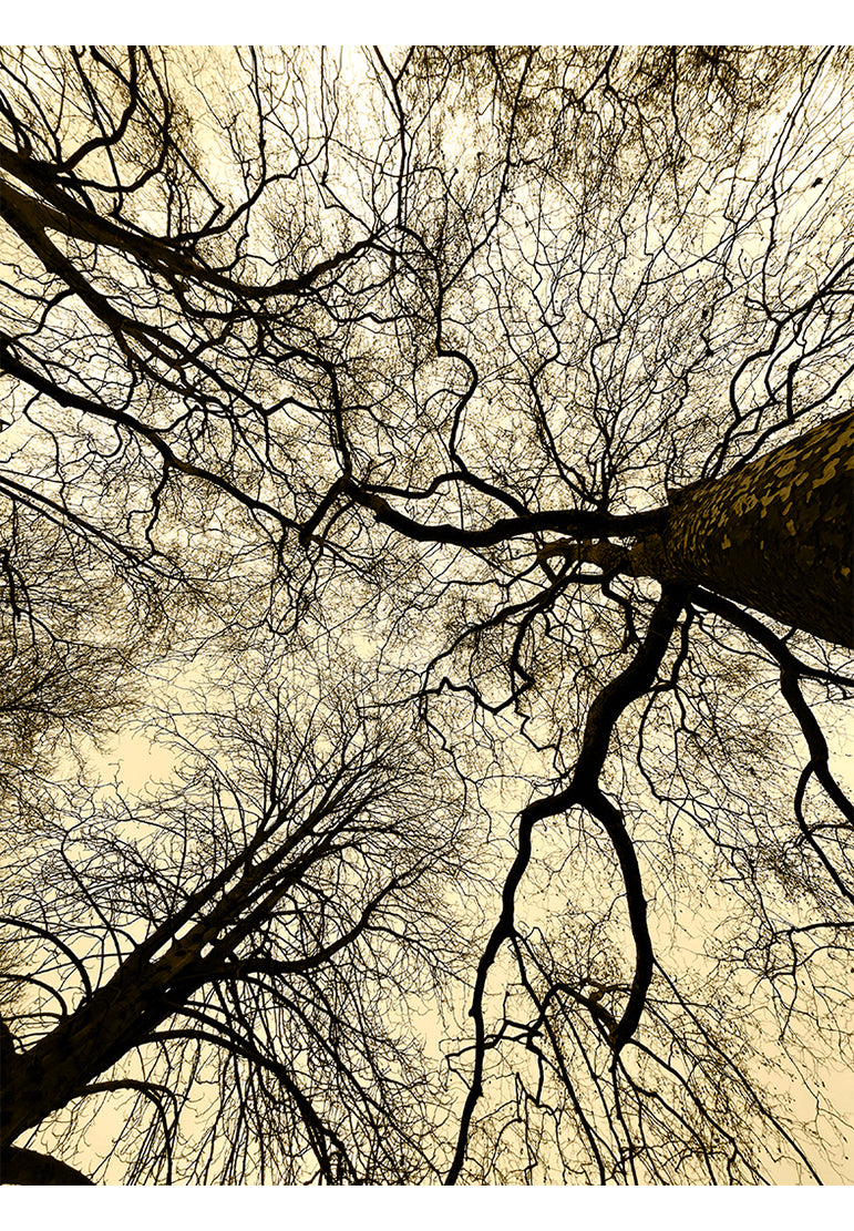 Entanglement