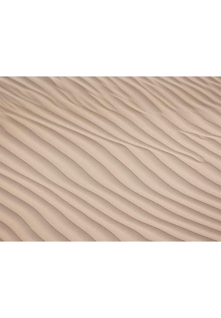 Desert Dreams